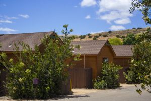 LandCabinBack