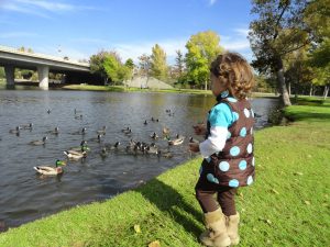 Little Girl feeding the ducks