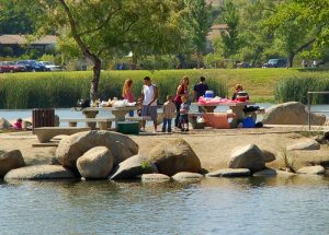 Picnic on Island