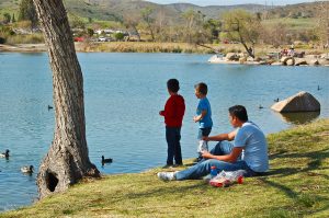 boys feeding ducks