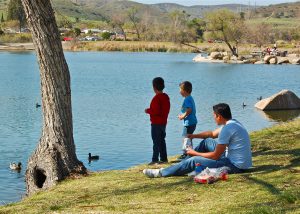 boys feeding ducks